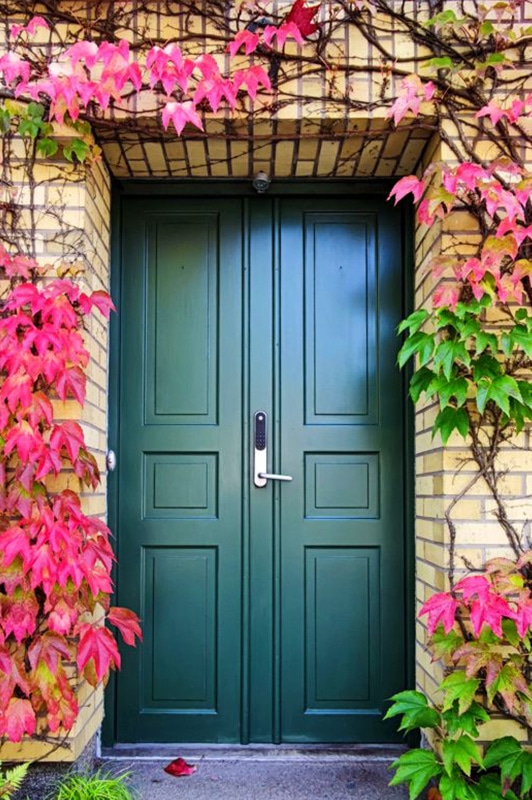 Wooden Entrance Doors - Doors from Hillview Windows